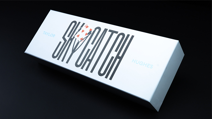 sky Sky Catch by Taylor Hughes - Imagen 1